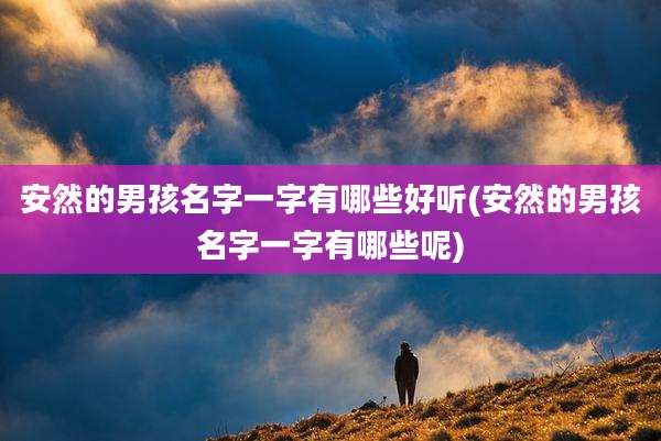 安然的男孩名字一字有哪些好听(安然的男孩名字一字有哪些呢)