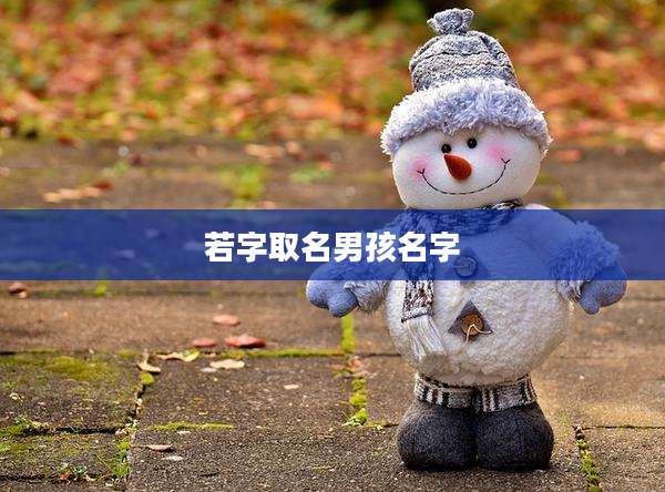 若字取名男孩名字