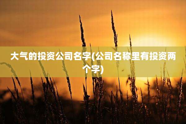 大气的投资公司名字(公司名称里有投资两个字)