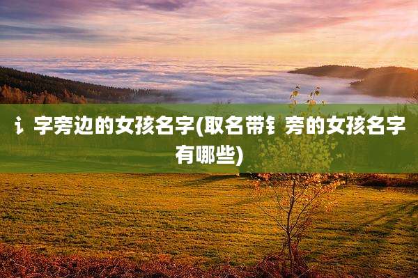 讠字旁边的女孩名字(取名带钅旁的女孩名字有哪些)