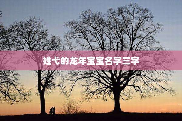 姓弋的龙年宝宝名字三字