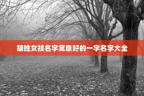 胡姓女孩名字寓意好的一字名字大全