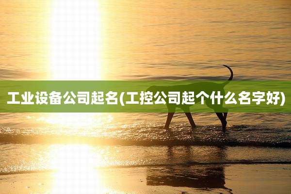 工业设备公司起名(工控公司起个什么名字好)