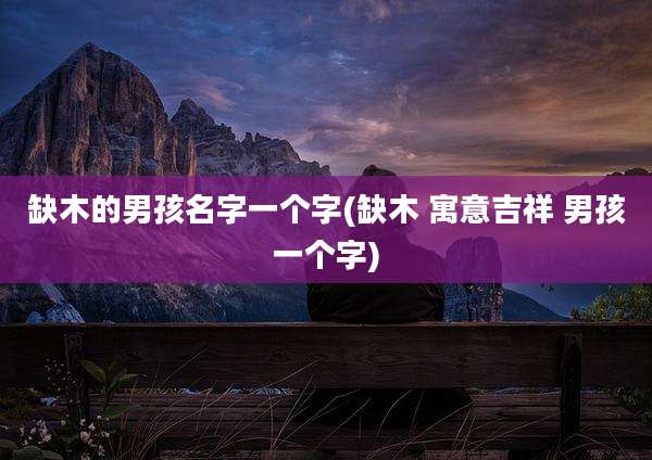 缺木的男孩名字一个字(缺木 寓意吉祥 男孩一个字)