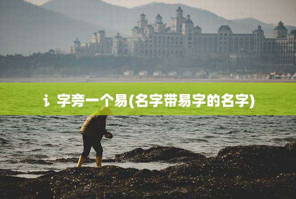 讠字旁一个易(名字带易字的名字)