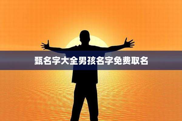 甄名字大全男孩名字免费取名