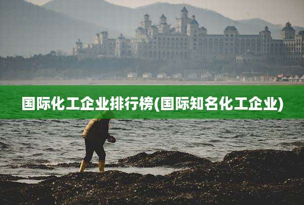 国际化工企业排行榜(国际知名化工企业)
