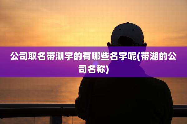 公司取名带湖字的有哪些名字呢(带湖的公司名称)