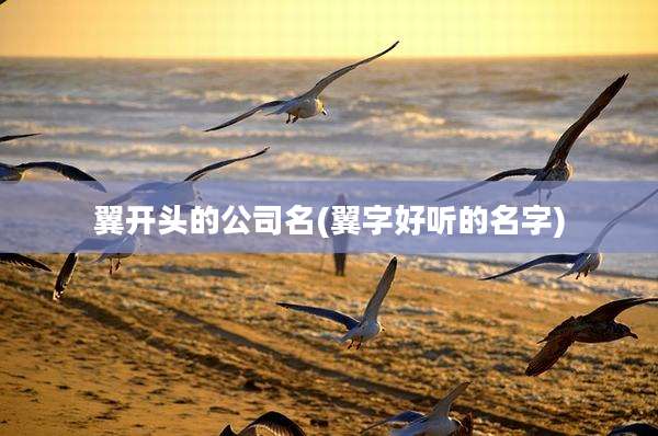 翼开头的公司名(翼字好听的名字)