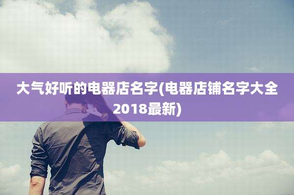 大气好听的电器店名字(电器店铺名字大全2018最新)