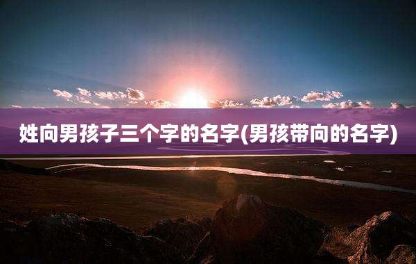 姓向男孩子三个字的名字(男孩带向的名字)
