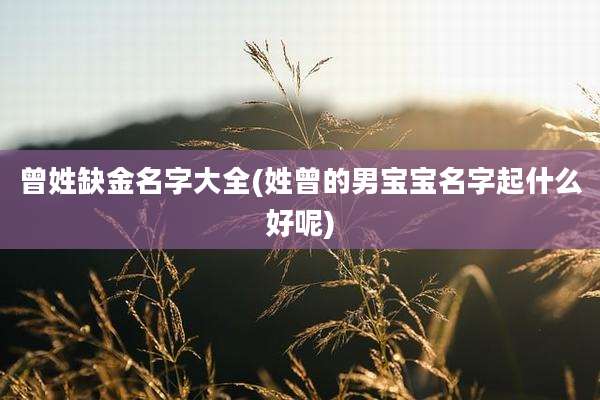 曾姓缺金名字大全(姓曾的男宝宝名字起什么好呢)