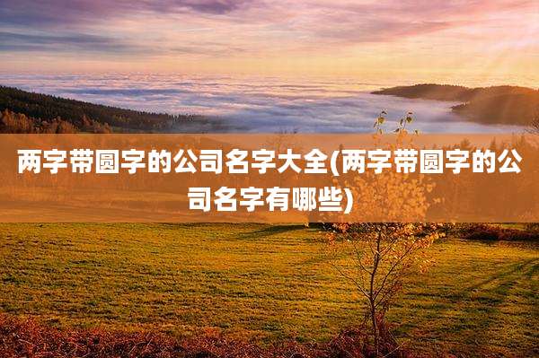 两字带圆字的公司名字大全(两字带圆字的公司名字有哪些)