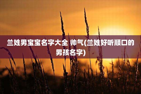 兰姓男宝宝名字大全 帅气(兰姓好听顺口的男孩名字)