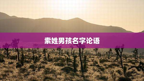 索姓男孩名字论语