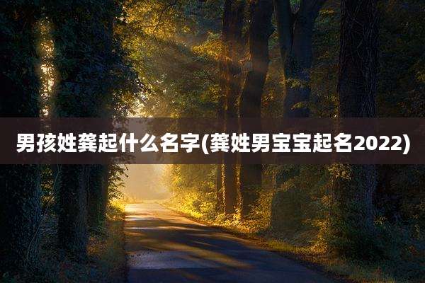 男孩姓龚起什么名字(龚姓男宝宝起名2022)