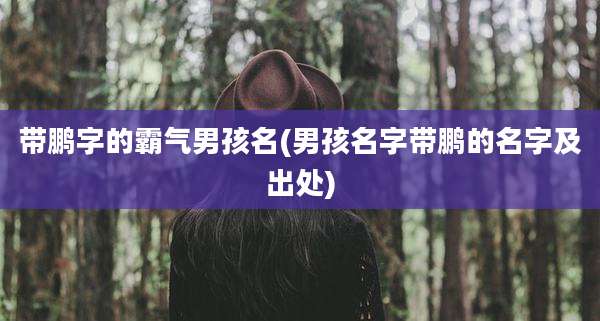 带鹏字的霸气男孩名(男孩名字带鹏的名字及出处)