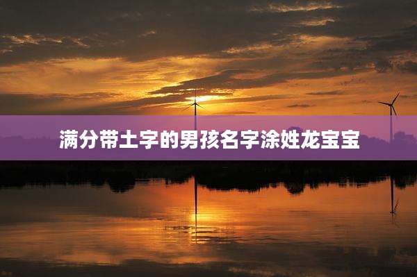 满分带土字的男孩名字涂姓龙宝宝