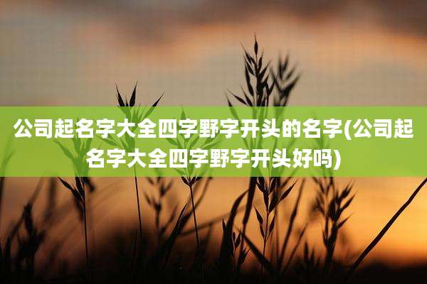 公司起名字大全四字野字开头的名字(公司起名字大全四字野字开头好吗)
