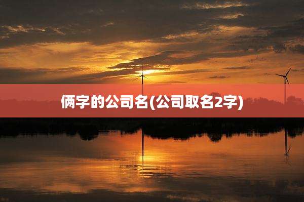 俩字的公司名(公司取名2字)