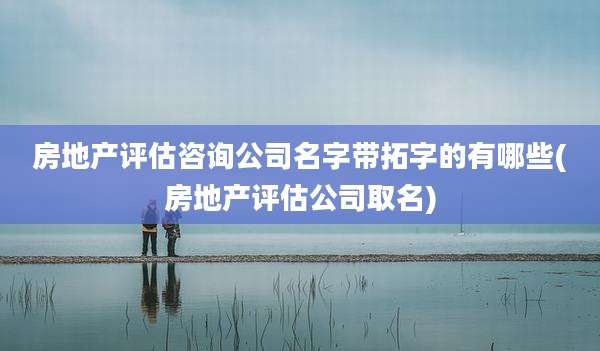 房地产评估咨询公司名字带拓字的有哪些(房地产评估公司取名)