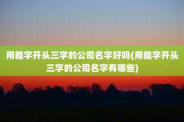 用能字开头三字的公司名字好吗(用能字开头三字的公司名字有哪些)