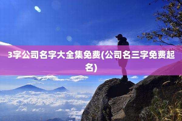 3字公司名字大全集免费(公司名三字免费起名)