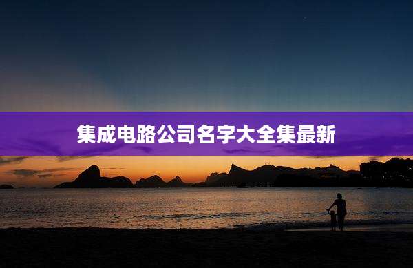 集成电路公司名字大全集最新