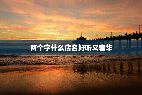 两个字什么店名好听又奢华