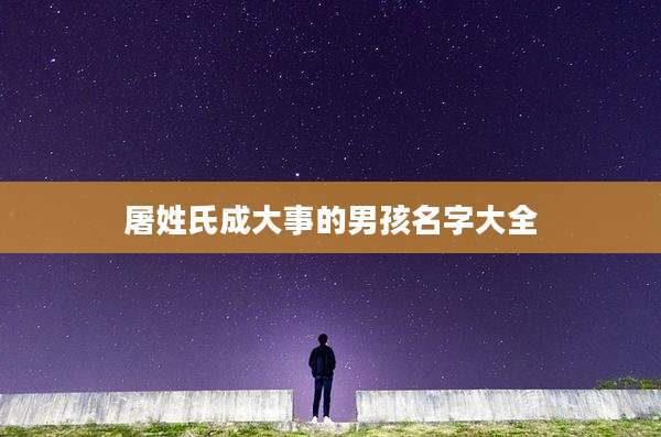 屠姓氏成大事的男孩名字大全