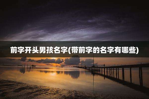 前字开头男孩名字(带前字的名字有哪些)