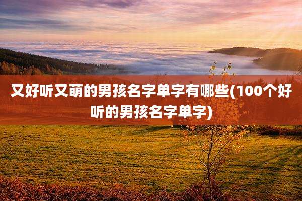 又好听又萌的男孩名字单字有哪些(100个好听的男孩名字单字)