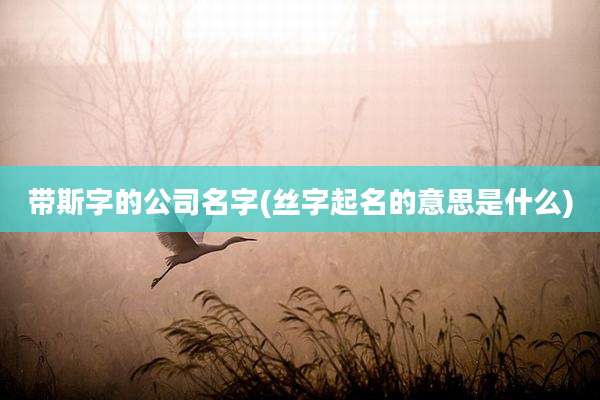 带斯字的公司名字(丝字起名的意思是什么)