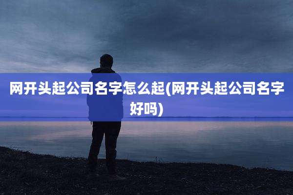 网开头起公司名字怎么起(网开头起公司名字好吗)