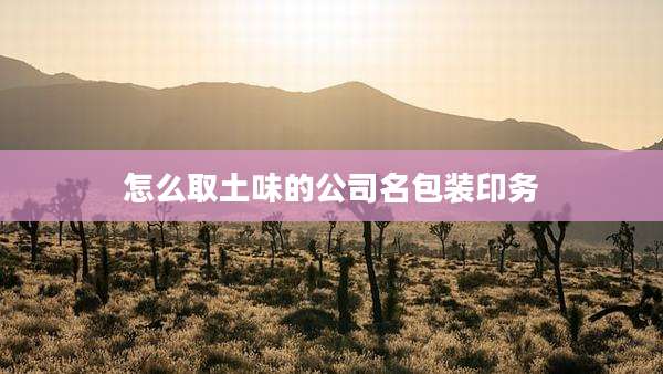 怎么取土味的公司名包装印务