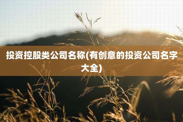 投资控股类公司名称(有创意的投资公司名字大全)