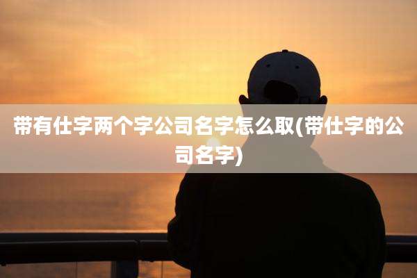 带有仕字两个字公司名字怎么取(带仕字的公司名字)