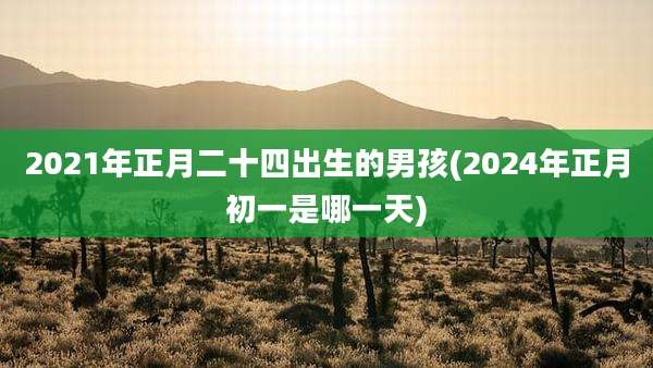 2021年正月二十四出生的男孩(2024年正月初一是哪一天)