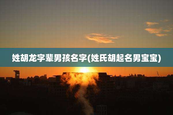 姓胡龙字辈男孩名字(姓氏胡起名男宝宝)