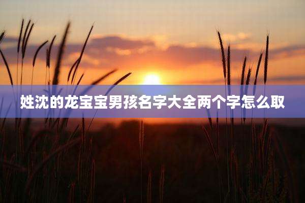 姓沈的龙宝宝男孩名字大全两个字怎么取