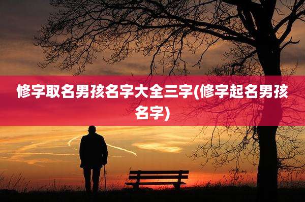 修字取名男孩名字大全三字(修字起名男孩名字)