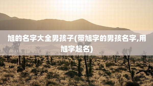 旭的名字大全男孩子(带旭字的男孩名字,用旭字起名)