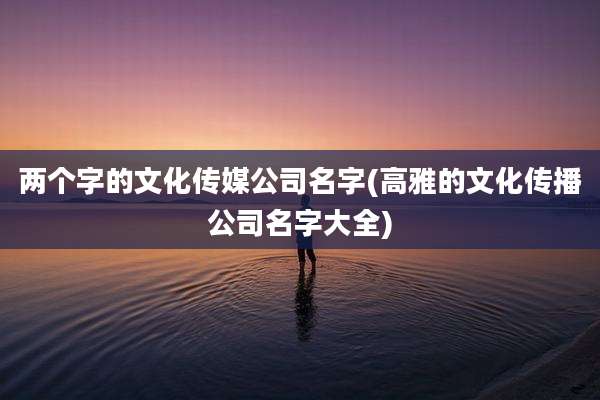 两个字的文化传媒公司名字(高雅的文化传播公司名字大全)