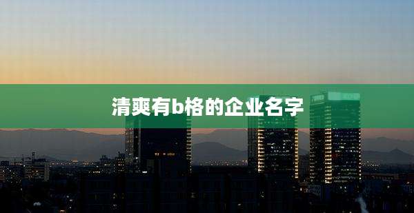 清爽有b格的企业名字