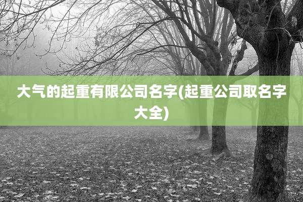 大气的起重有限公司名字(起重公司取名字大全)