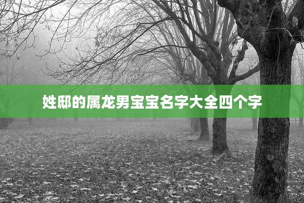 姓邸的属龙男宝宝名字大全四个字