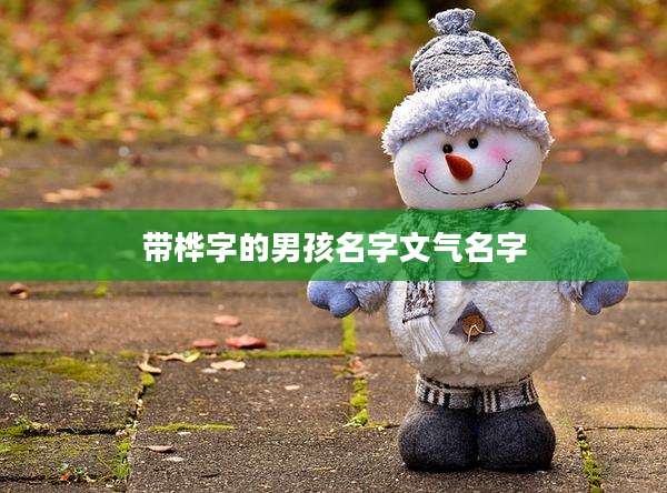 带桦字的男孩名字文气名字