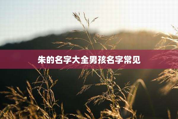 朱的名字大全男孩名字常见