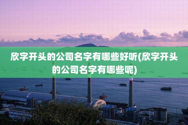 欣字开头的公司名字有哪些好听(欣字开头的公司名字有哪些呢)