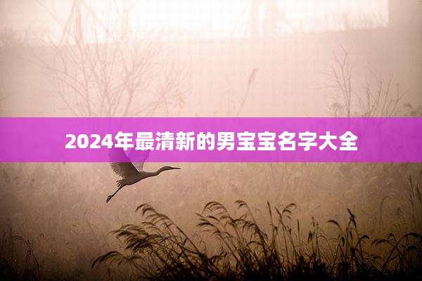 2024年最清新的男宝宝名字大全